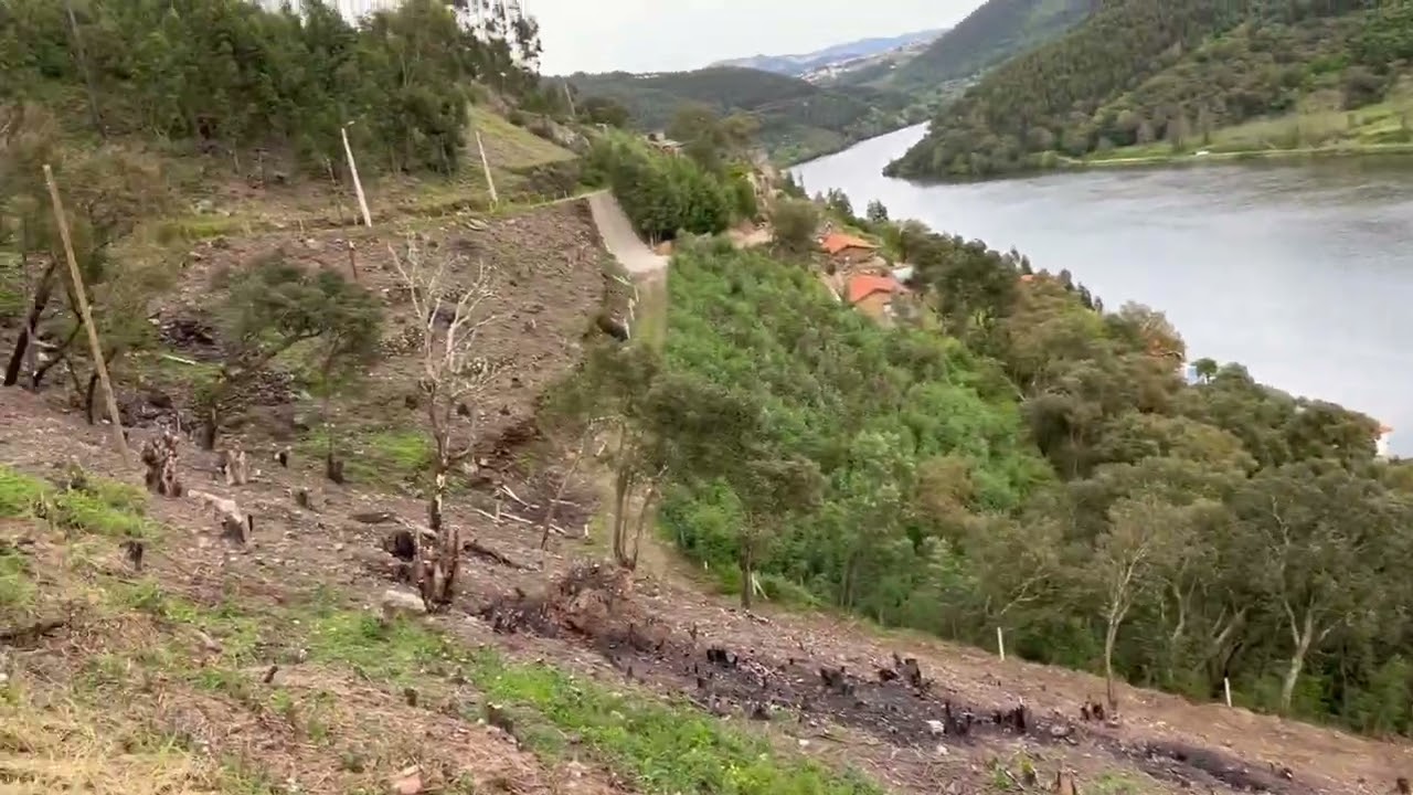 Vídeo do imóvel