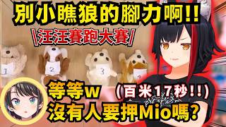 賭上獎勵的汪汪賽跑!! Mio竟差點被自己提出的地獄企劃反噬w【Hololive中文精華】【大空スバル/白上フブキ/大神ミオ/ホロライブ切り抜き】