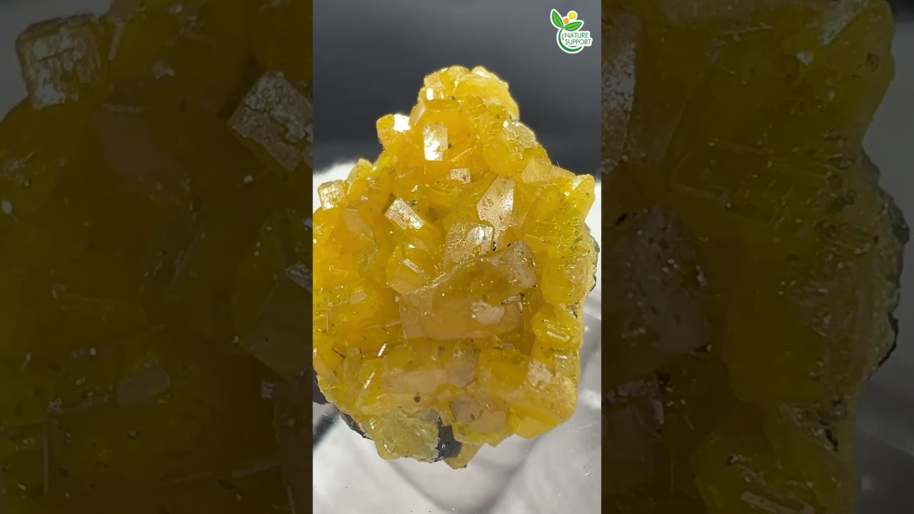 希少石☆ミメタイト（ミメット鉱）×ダフタイト（ダフト石）Mimetite × Duftite【Mineral Stone】#Shorts