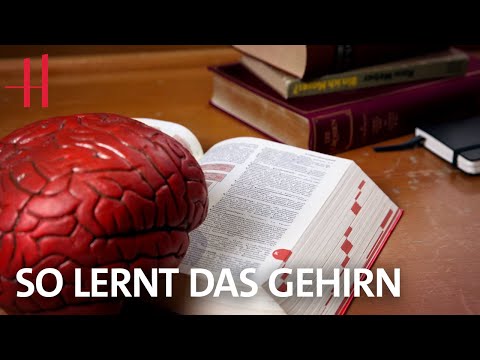 Wie funktioniert unser Gedächtnis? Dr. Mondino erklärt