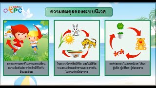 สื่อการเรียนการสอน แนวทางการรักษาสมดุลของระบบนิเวศม.3วิทยาศาสตร์