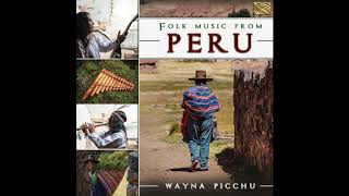 Pasion de Saya (Instrumental) - Wayna Picchu