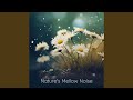 Lullaby of the Leaves