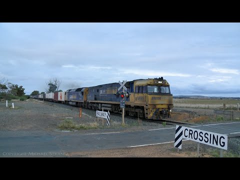 1MP5 Pacific National Container Train At Railway Crossing (18/4/2021) - PoathTV