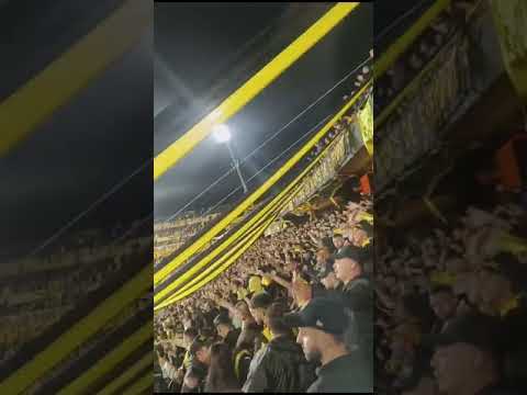 "Hinchada de Peñarol vs DanuBio" Barra: Barra Amsterdam • Club: Peñarol