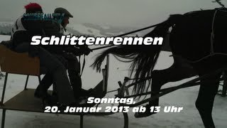 preview picture of video '20.1.2013: Pferdeschlittenrennen und Skijöring in Lindenau-Bühl'