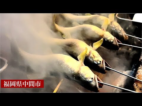 ¡Gran habilidad! ¡Una mirada entre bastidores a un restaurante japonés frecuentado por clientes habituales! [Saito] Ayu, blanquillo, jurel Genchan/Ayu, comida de restaurante japonés