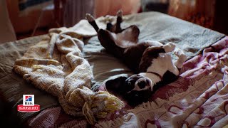 OfficialHillsPet Beth & Buster: A Science Diet Story