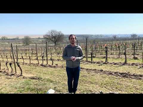 Weinvorstellung Ried Marienthal 2016