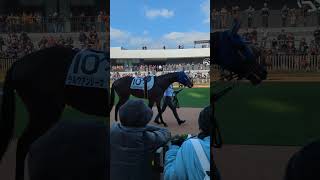 #競馬 ＃キタサンブラック＃ラルクアンレーヴ＃新馬戦
