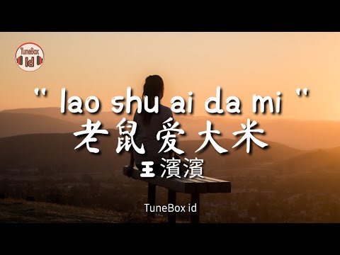 lao shu ai da mi (老鼠爱大米) Cover Wang Binbin 王濱濱 - Lirik Lagu / Lyrics ( Yang Chengang 杨臣刚 )