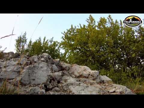 Cupa "Crater" XCO Betfia