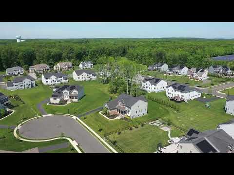 Community Shot