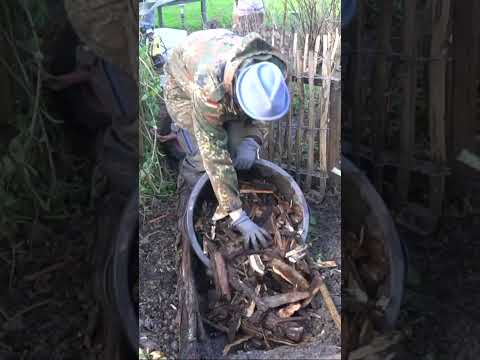 Käferkeller bauen: So siedelst du die Bodenpolizei in 15 Minuten an