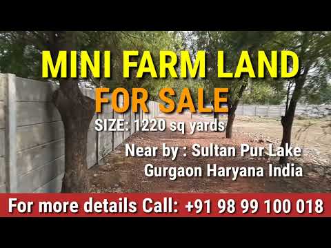 1220 Sq. Yards Agricultural/Farm Land for Sale in Sultanpur, Gurgaon