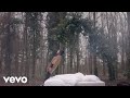 Hoshi - Comment je vais faire (Clip Officiel) Hoshi - Comment je vais faire (Clip Officiel)