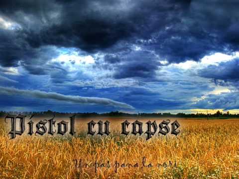 Pistol cu capse Un pas pana la nori