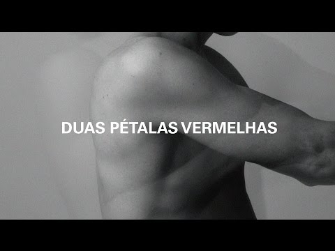 Duas Pétalas Vermelhas video