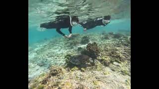 株式会社　Kazbo