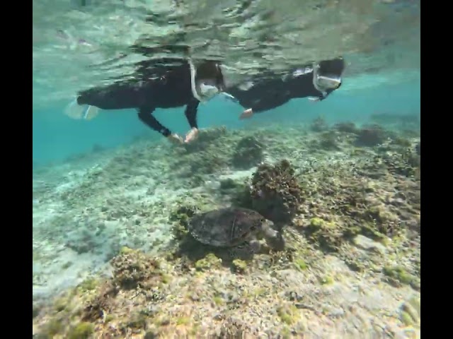 株式会社　Kazbo