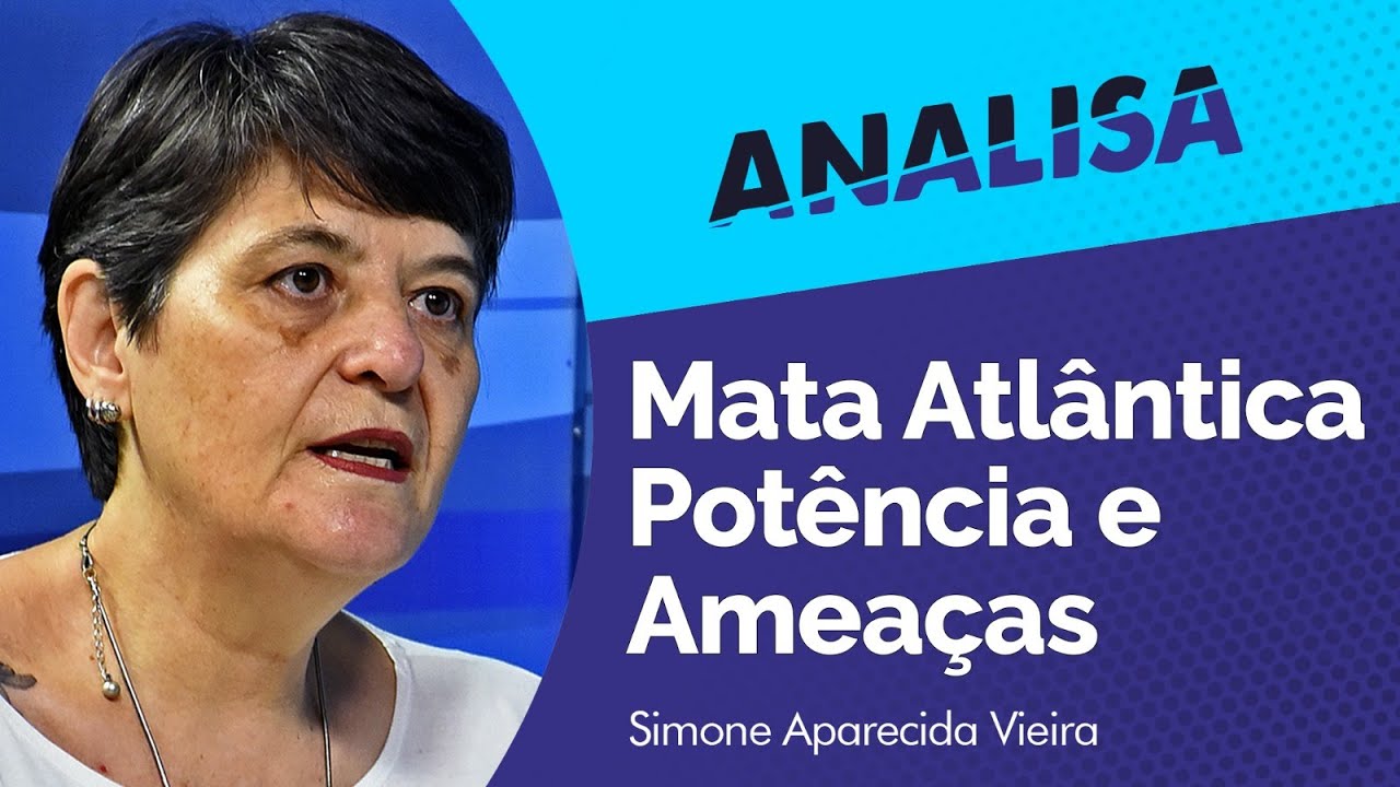 Pesquisa investiga impacto das mudanças climáticas na Mata Atlântica