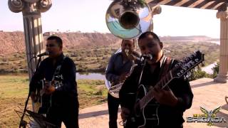 Alta y Delgadita (EN VIVO) (2016) - Nueva Brigada