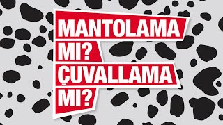 Filli Boya Dalmaçyalı Isı Yalıtım Sistemleri | Mantolama mı? Çuvallama mı?