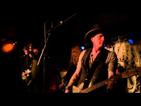 The 69 Cats - Whole Lotta Shakin' feat. Annie Marie Harvey