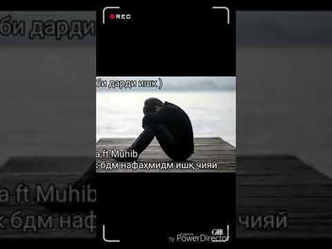 Bekha ft Muhib кудак бдм нафаҳмидм ишк чияй