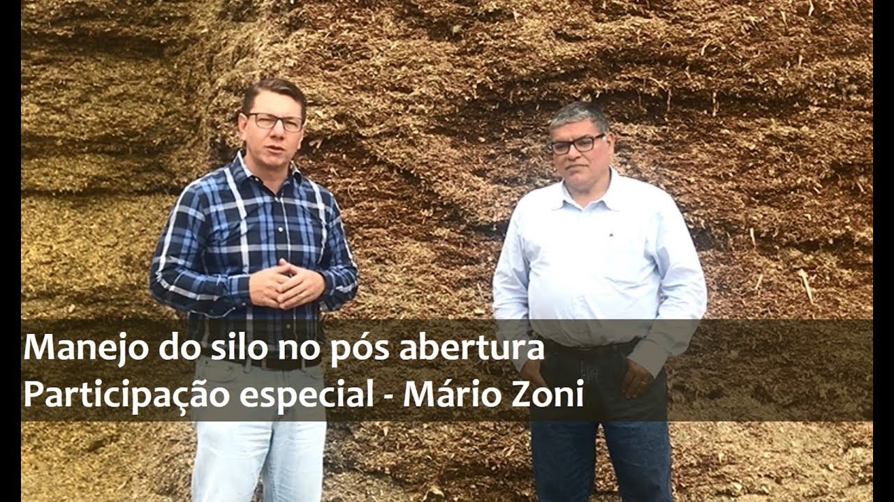 Manejo do silo no pós abertura