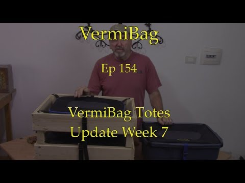 VermiBag  Ep 154   VermiBag Totes Update Week 7