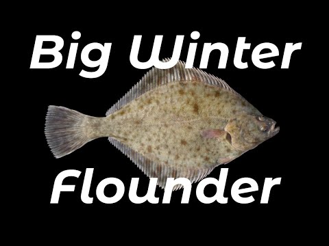 How To Catch Big Winter Flounder (Shore Fishing UK and Europe) - Beginners And Improvers - Tutorial