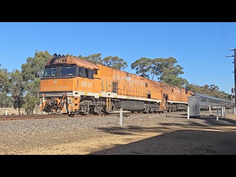 7787V JBRE Great Southern (NR31, N30), Great Western to Deep Lead, 1755, 24/1/24, Deep Lead VIC