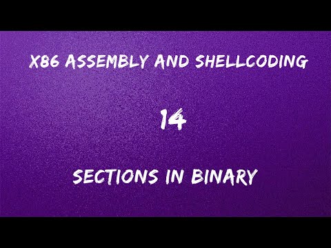 x86 Assembly and Shellcoding - 14 Sections