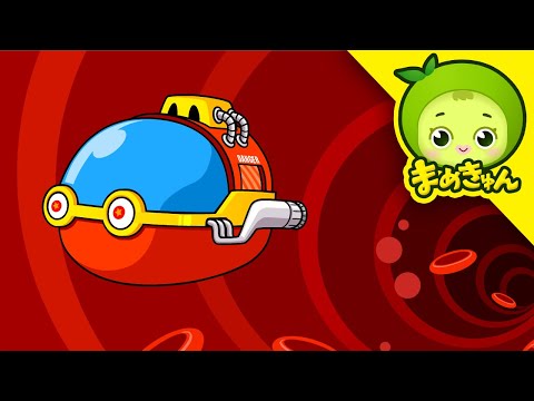 人間はどのように作られるのか