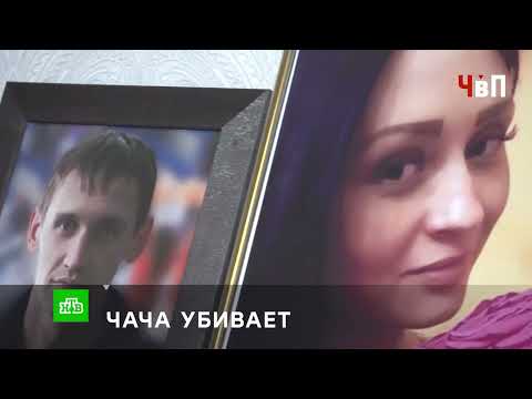 «ЧАЧА УБИВАЕТ»