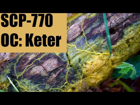 SCP-770 Nuclear Slime | Keter | Fungal SCP