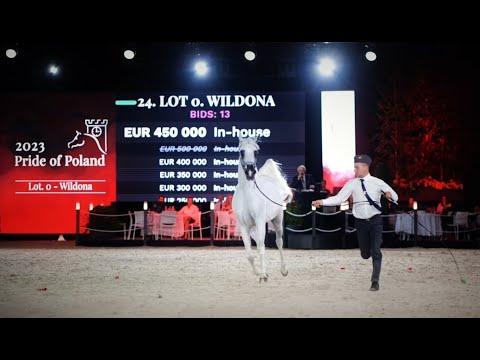 2023 Pride of Poland and Summer Sale