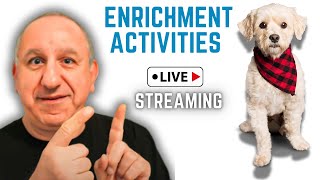 Guide to Keeping Your Dog Engaged and Excited with Enrichment Activities
