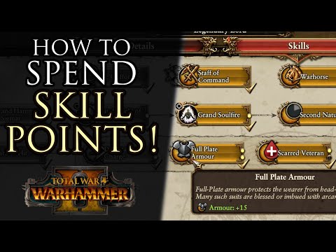 How to spend SKILL POINTS! - Warhammer 2 Campaign Beginner's Guide