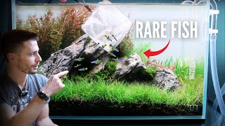Aquascaping Challenge Part 2 confirmed?