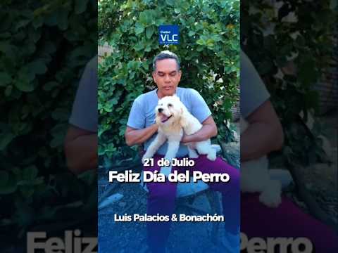 Feliz día del Perro: Un amor que dignifica y enseña | Luis Palacios