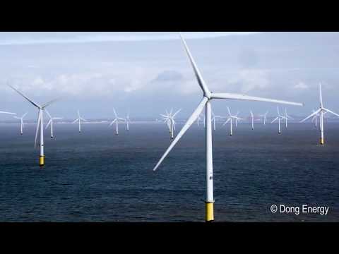 Renewable Energy Kent: KMTV News Featuring TLGEC