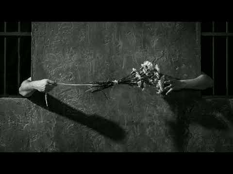 Sim & Mamu & Petto - ფერები?!