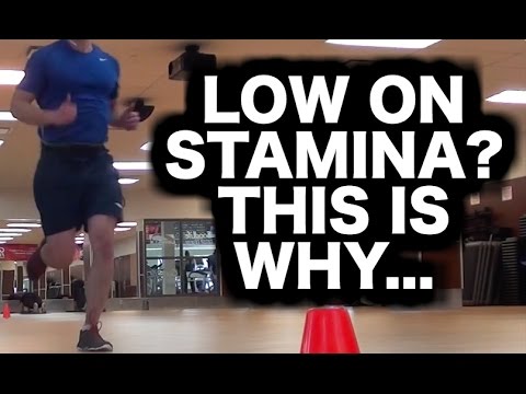 download lagu mp3 mp4 Best Training For Beep Test, download lagu Best Training For Beep Test gratis, unduh video klip Best Training For Beep Test