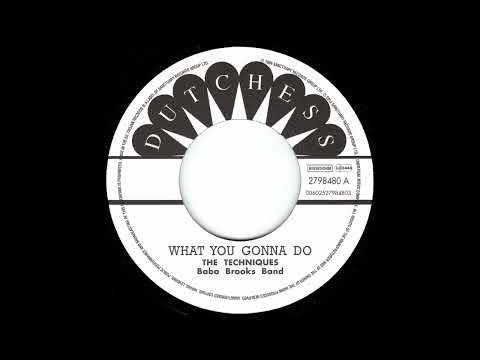 The Techniques with The Baba Brooks Band - What You Gonna Do