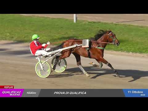Ippodromo Ghirlandina - 11/10/2024 - Qualifica 2