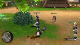 ドラクエ10　適当に何かやる