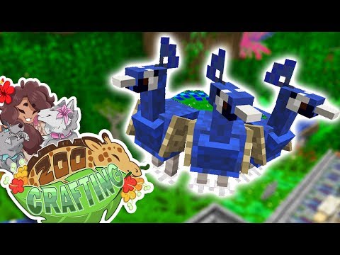 Release the STRANGE CHICKENS!! 🐼🌿 Zoo Crafting • #67