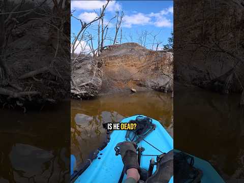 I’ve actually never seen this in my life before. #fishing #wildlife #rescue